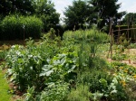 Démonstration : Echanges autour de la création d'un jardin potager