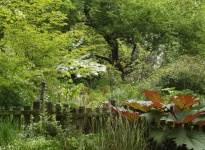 JARDIN DE LA LEVRETTE