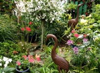 ROCAILLE SAULE CREVETTE ET HERBES FOLLES