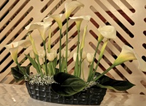 Art-floral-SHPV-2022-125