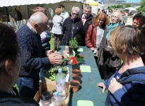 DEMONSTRATION BOUTURAGE 2012 b