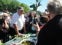 DEMONSTRATION MARCOTTAGE 2012