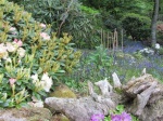 Sortie : rhododendrons dans le Finistère à Scaër