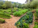 Conférence : Paysages gourmands et jardins forêt