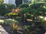 Sortie : Visites de jardins privés
