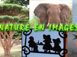 Spectacle : nature en images