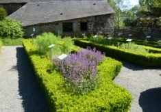 Sortie : Visite à Saint Philbert de Grand Lieu