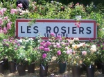 Conférence : les rosiers anciens et botanique