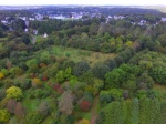 Conférence : Arbres et arbustes introduits en Bretagne ces 30 dernières années