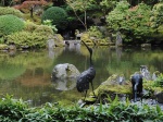 Conférence : la traduction moderne du jardin japonais classique