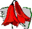 Société Bretonne du Rhododendron